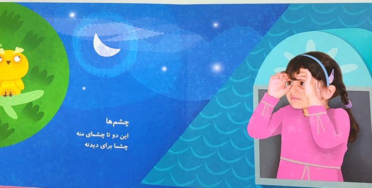 کتاب شعر جلدسخت این چیه؟ بینی منه! از مجموعه«دلت میخواد یادبگیری»
