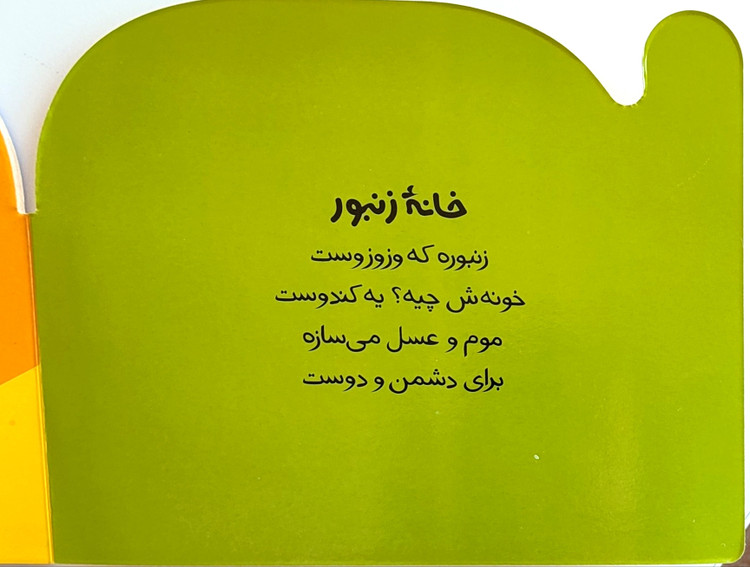 کتاب شعر «خانه ها جورواجورند»