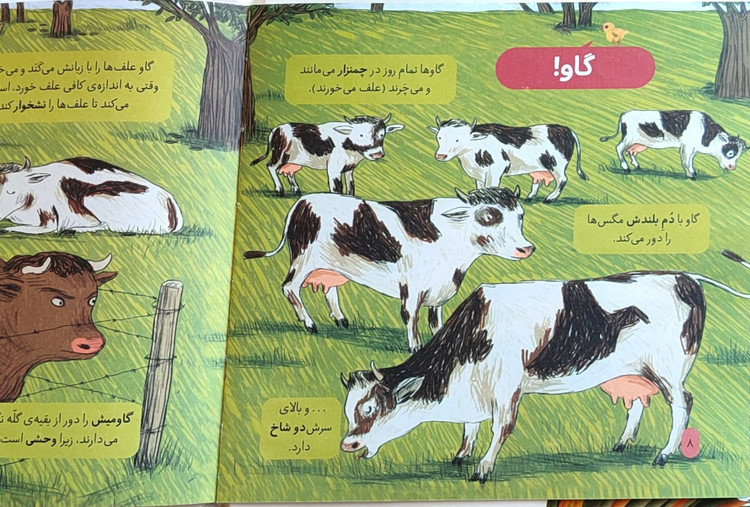 «دایرةالمعرف«حیوانات مزرعه»