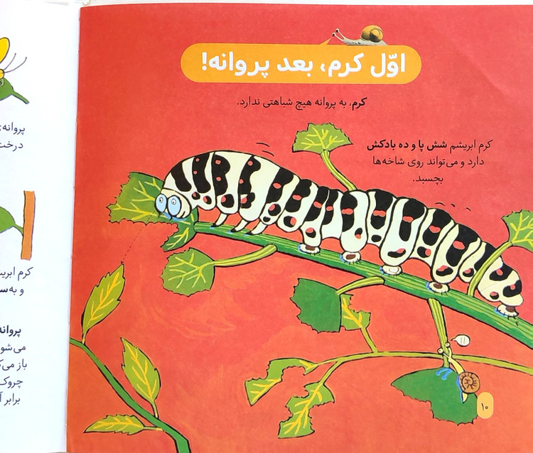 دایرةالمعارف«حشرات و موجودات ریزجثه »
