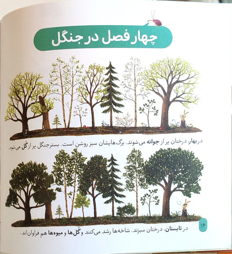 دایرةالمعارف«جنگل»