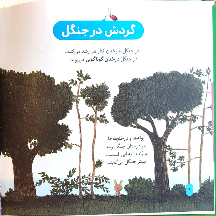دایرةالمعارف«جنگل»