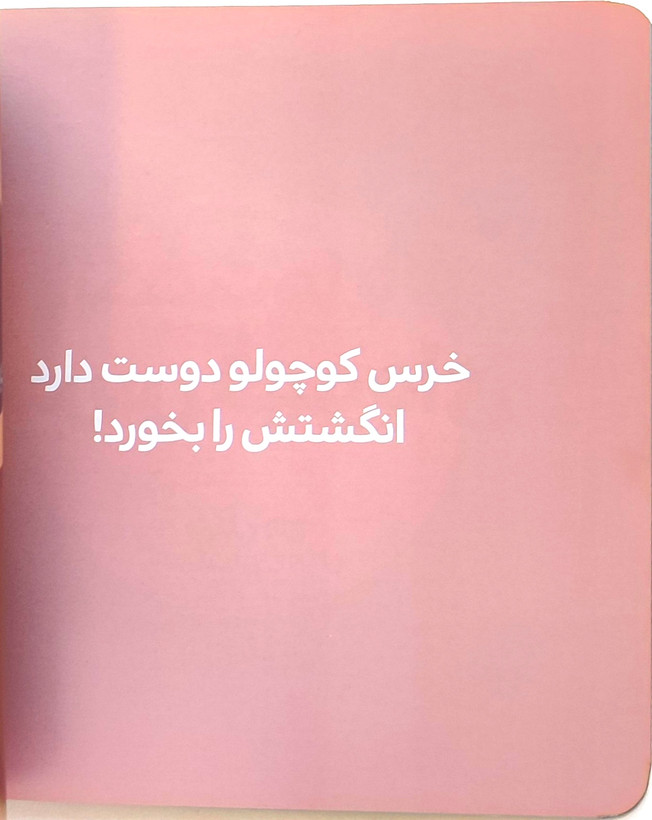 انگشتها بالا خرس قهوه ای