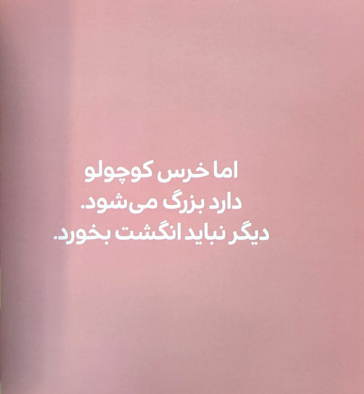 انگشتها بالا خرس قهوه ای