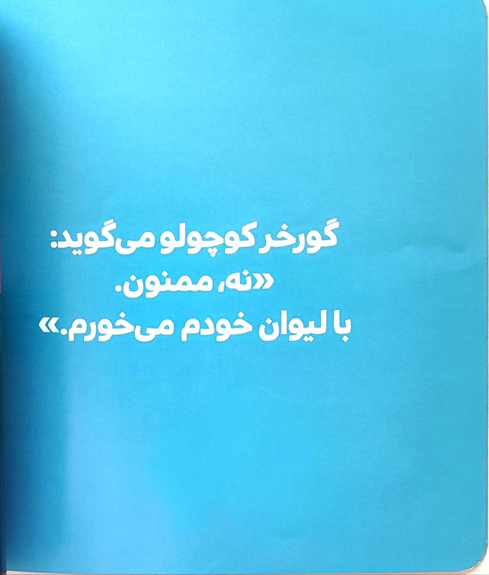 شیشه بسه گورخر کوچولو