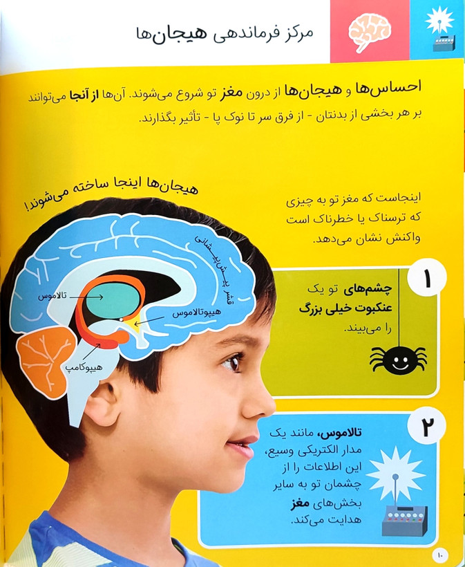 احساسات رنگارنگ من