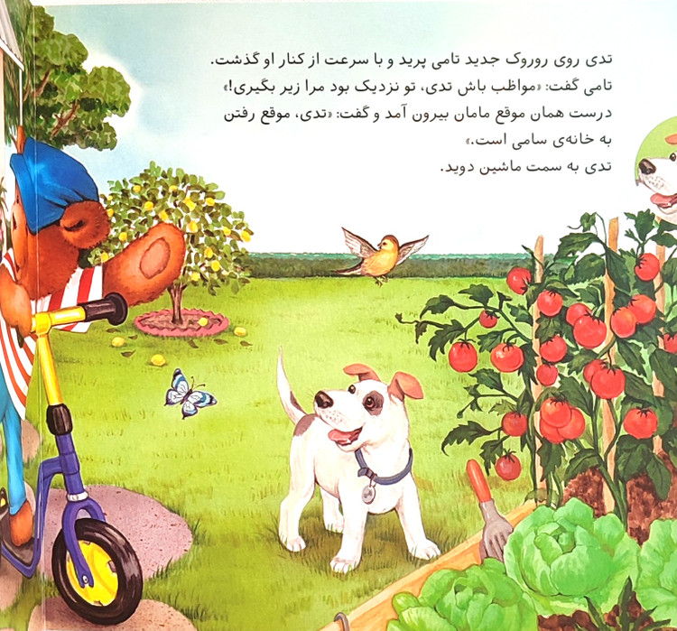 تدی مؤدب است