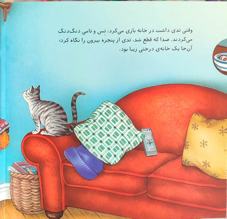 تدی کمک میکند
