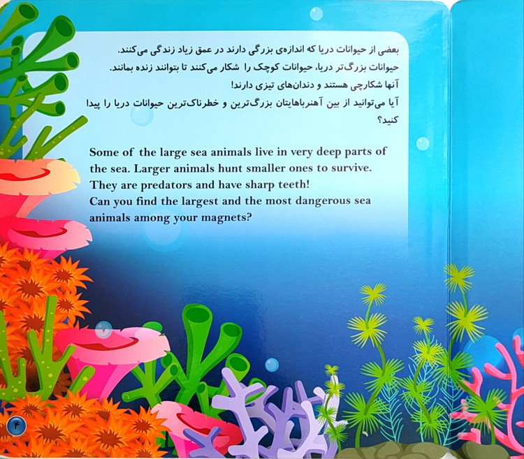 کتاب آهنربایی« حیوانات دریا»