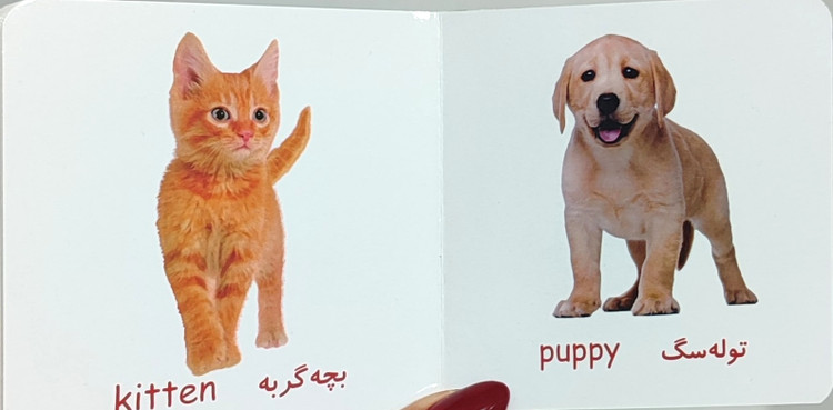 پک۱۰ جلدی قابدار «اولین کتابخانه من»